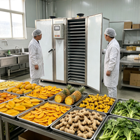 Four de déshydratation alimentaire commercial, conception mobile sur roues, séchoir industriel multi-niveaux pour poisson, viande, épices