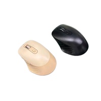 Nouvelle Souris Sans Fil Personnalisée – Fabricant de Souris sans Fil pour Bureaux et Entreprises