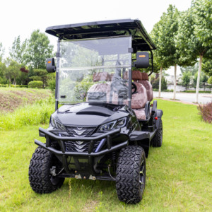 Voiturette de <span class=keywords><strong>golf</strong></span> <span class=keywords><strong>électrique</strong></span> de style nouveau modèle 2025, <span class=keywords><strong>chariot</strong></span> de chasse avec 2+2 places, CE 5000W - Product Image 2