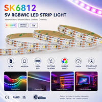 Usine Mini LED Bande RGBW 5V 12V 3535 5050 4in1 Pixel Adressable avec Connectivité USB Commande Vocale 30 60 144 96 120 LED