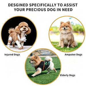 <b>Pet</b> Dog Lift <b>Harness</b> Support Sling for Elderly Dogs Joint Injury Arthritis Outdoor Walking Helper Adjustable <b>Pet</b> Lifting <b>Harness</b> - Product Image 4
