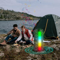 Haut-parleur Portable pour l'extérieur, système Dj, caisson de basses, boîte de son avec lumière Led