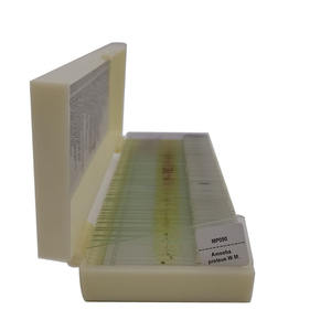 Élèves de l'école enseignant 50 types de microscope de parasitologie médicale ensemble de lames préparées - Product Image 3