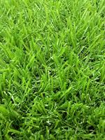20mm langlebige Pfahl höhe Kunstrasen Teppich feuerfeste Rolle Paket für Wohn Outdoor Garten Landschaft Gras