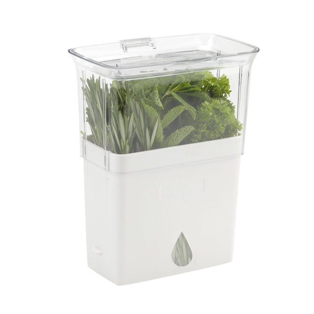 Fresh Herb Keeper Herb Saver for Refrigerator Storage Container for Cilantro Parsley Thyme Mint & Asparagus Easy-to-Use