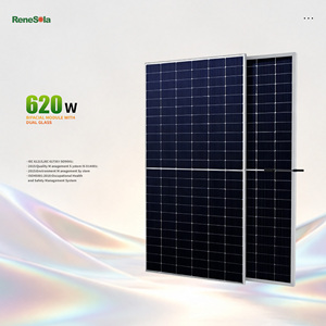 Panneau solaire bifacial en verre Rene a Grade Solar 620W de type N avec certificat complet - Product Image 1