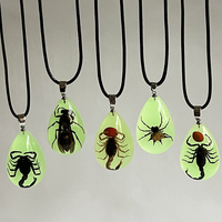 Collier Scorpion Noir pour Homme, Pendentif Insecte Taxidermisé, Bijou Lumineux Ambre, Brille dans le Noir, Véritable Collier Scorpion
