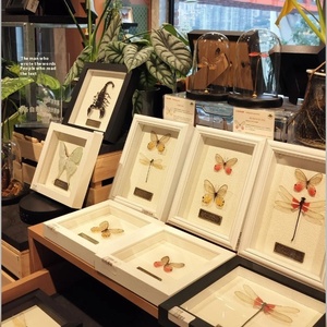 Mới nhất phong cách Châu Âu tự làm 3D bướm mẫu vật côn trùng khung ảnh - Product Image 3