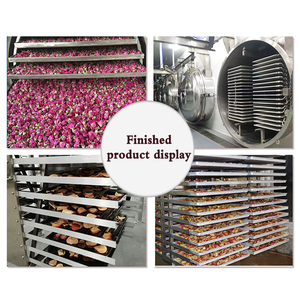 Secador de congelación de alta calidad, liofilizador de alimentos, liofilizador de café, máquina de secado por congelación - Product Image 6
