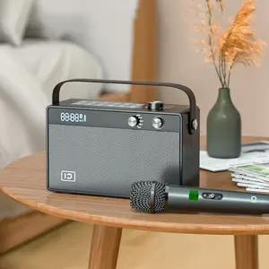 SHIDU New Fashion Home Gadgets 30W Hifi Sound Portable Smart Wireless Karaoke Speaker With Microphone