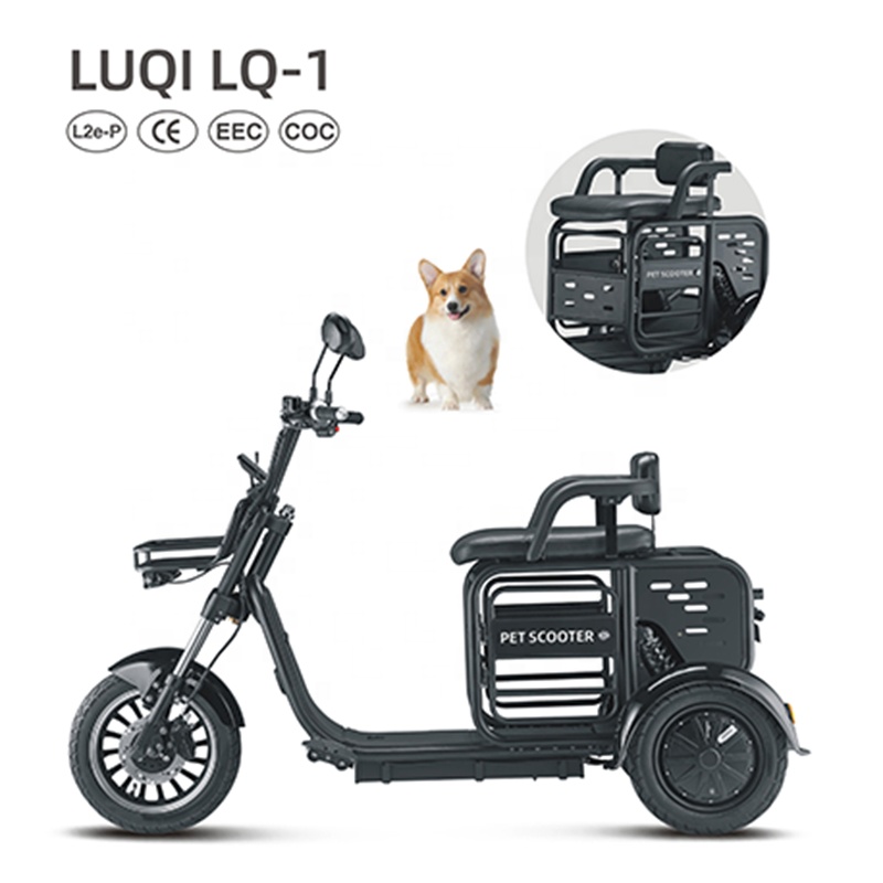 電動三輪車 中国高齢者と若者向けの新しい小型レジャー電動三輪車メーカー工場