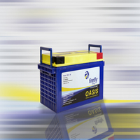 FIREFLY OASIS 12V 65AH Baterai Busa Karbon Siklus Dalam Asam Timbal VRLA AGM Bebas Perawatan Sumber Daya Listrik