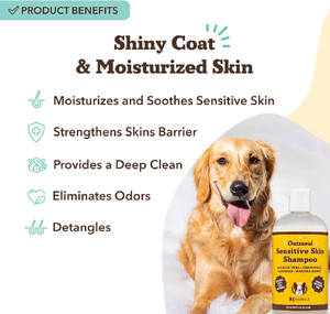 Shampoo à l'avoine personnalisé avec logo pour chiens à peau sensible, shampooing <span class=keywords><strong>anti</strong></span>-démangeaisons pour chiens, shampooing désodorisant et bio hypoallergénique pour animaux de compagnie - Product Image 2