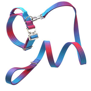 Correa de perro de doble capa degradada, Collar táctico para mascotas, correa de entrenamiento, Collar de cuello de perro para razas medianas y grandes - Product Image 5