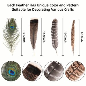 Entrega en Tres Días, Combinación Aleatoria <span class=keywords><strong>de</strong></span> 12 Plumas <span class=keywords><strong>de</strong></span> Aves Silvestres, Manualidades DIY, Arreglos Florales, Decoración <span class=keywords><strong>de</strong></span> Ropa - Product Image 3