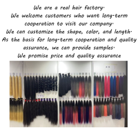 0401-1-2 vente en gros lisse 100% extensions de cheveux crus queue de cheval extensions de cheveux remy queue de cheval salon exclusif