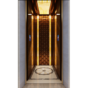 <span class=keywords><strong>Mini</strong></span> <span class=keywords><strong>Ascensor</strong></span> Hidráulico Dorado para Pasajeros, Precio de <span class=keywords><strong>Ascensor</strong></span> para Viviendas en China, Precio de <span class=keywords><strong>Ascensor</strong></span> para Pasajeros en China - Product Image 5