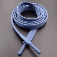 Vente en gros de cordons de serrage plats en nylon (enduits) pour vêtements chaussures sacs à haute ténacité et caractéristiques durables