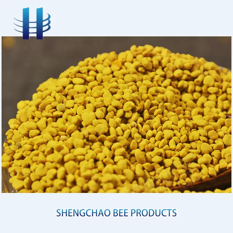 2019 China Qinghai New Harvest wholesale rape Bee pollen granular/grain for human consumption
