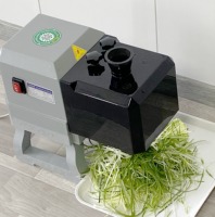 Professionele elektrische groene uiensnijmachine, luchtschilfersnijder voor commercieel gebruik in de voedselverwerking