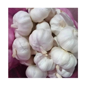 有机新鲜白红大蒜Ajos Alho OPTIMUM品牌欧盟标准5.5/6.0厘米全年批发价格来自中国 - Product Image 1