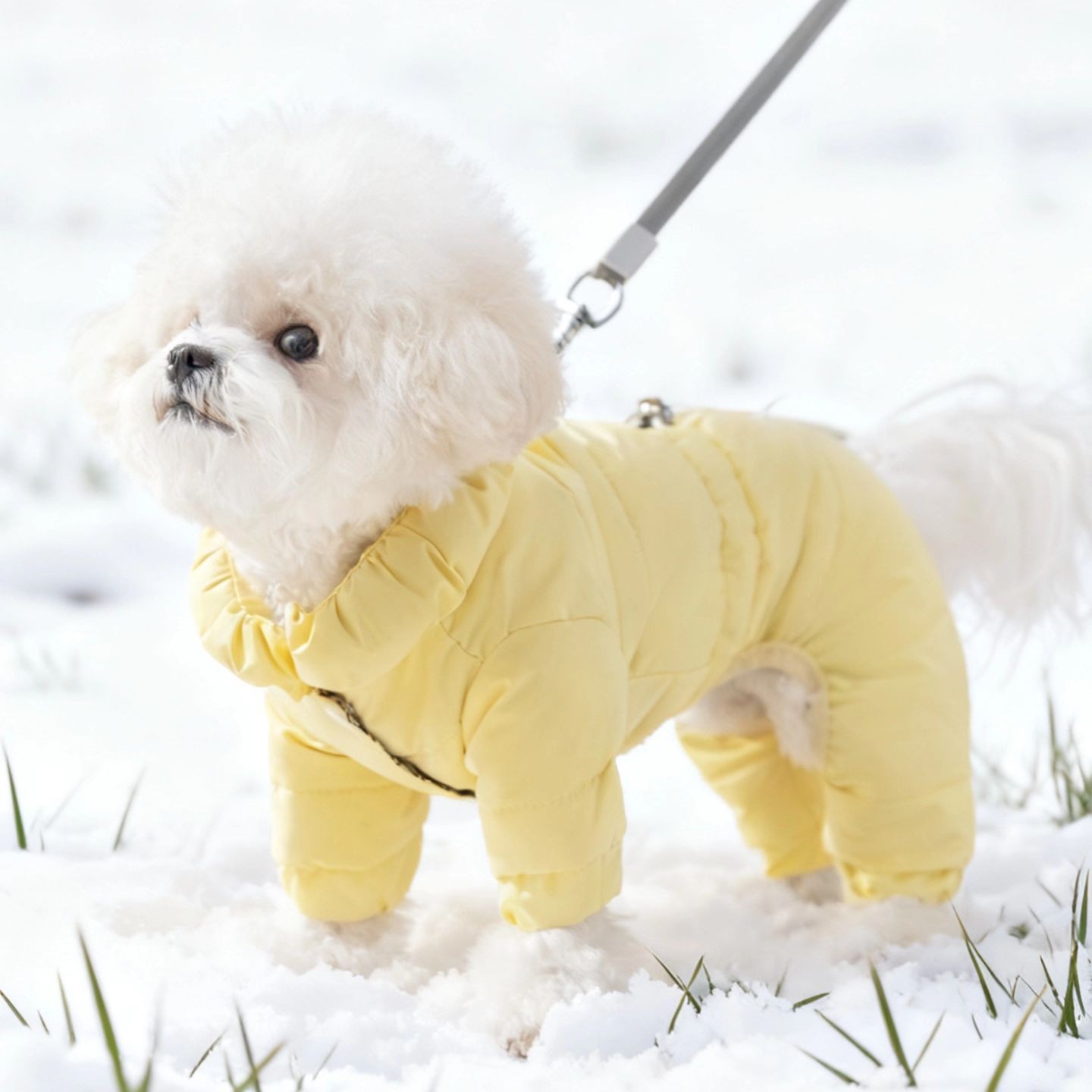 Yellow down jacket (dz2650)