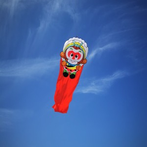 Nouveaux cerfs-volants mollusques cerfs-volants 3D pour enfants peuvent être pliés pour les activités de plein air parent-enfant Sports de vol faciles - Product Image 2