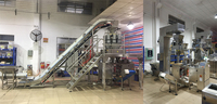 Automatic Granule Packing Machine Multifunction Powder Particle Weighing Filling Machine CE Certified OEM ODM