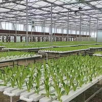 Système de culture hydroponique en serre agricole, canal en PVC vertical, galvanisé, système NFT, pompe, haute productivité, irrigation automatique