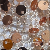 Foulard de danse du ventre à sequins pour femme, avec pampilles, pour performance scénique, entraînement et pratique