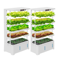 Nouveauté : Système de culture hydroponique intelligent pour la maison, jardin vertical intelligent d'intérieur