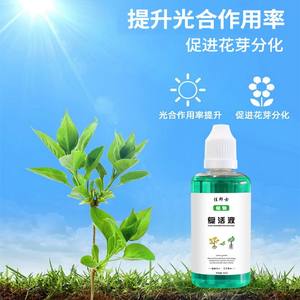 Líquido Reactivador para Plantas y Flores, para el Amarillamiento y Caída <span class=keywords><strong>de</strong></span> Hojas <span class=keywords><strong>en</strong></span> Plantas Monocotiledónicas, <span class=keywords><strong>en</strong></span> Oferta <span class=keywords><strong>en</strong></span> <span class=keywords><strong>Amazon</strong></span> - Product Image 4