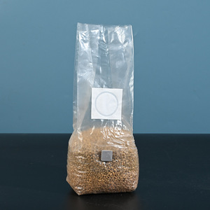 Bolsas <span class=keywords><strong>de</strong></span> Cultivo <span class=keywords><strong>de</strong></span> Hongos Comestibles K22, Bolsas <span class=keywords><strong>de</strong></span> Aislamiento Transpirables Resistentes a <span class=keywords><strong>la</strong></span> Temperatura <span class=keywords><strong>de</strong></span> PP para Inoculación - Product Image 1