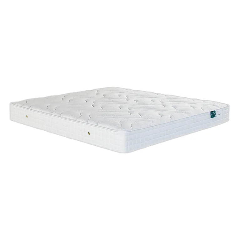 Wholesale Great Price Mattresses For Queen Size Double Bed Pads Nature Coconut Palm Mattress