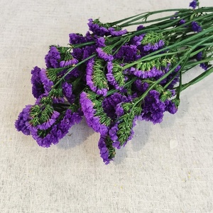 ขายส่งเก็บรักษาดอกไม้ <span class=keywords><strong>Myosotis</strong></span> <span class=keywords><strong>Sylvatica</strong></span> เก็บไว้ลืมฉันไม่ได้สำหรับการจัดดอกไม้ - Product Image 6