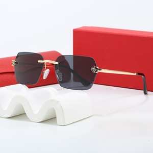 Occhiali da Sole Senza Montatura Quadrati Classici di Alta Qualità per Uomo e Donna, Design Personalizzato con Logo, Moda 2026 - Product Image 2