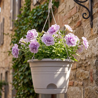 Hollen Hollow-leaf Spider Plant Hanging Basket Resin Breathable Wall-mounted Railing Flower Pot Balcony Pothos Home Decor