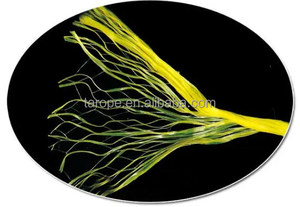 Chine usine agriculture banane raphia <span class=keywords><strong>ficelle</strong></span> PP presse à balles <span class=keywords><strong>ficelle</strong></span> <span class=keywords><strong>blanc</strong></span> jaune PP banane & tomate attachant foin presse à balles <span class=keywords><strong>ficelle</strong></span> - Product Image 2