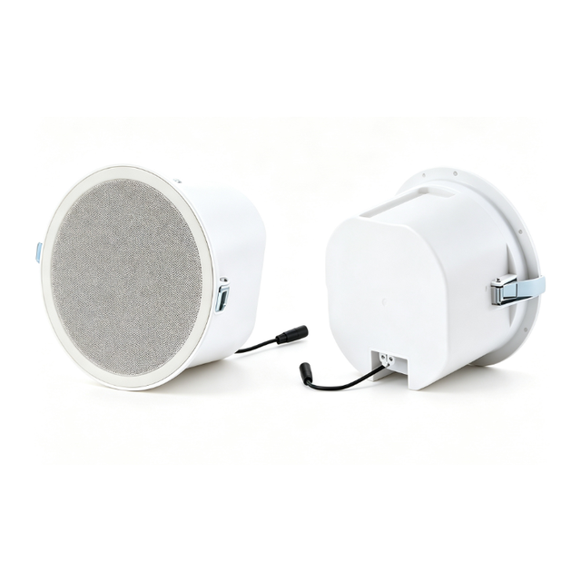 Embedded Commercial Background Music Speaker Bluetooth Ceiling Horn Store Home Ceiling Speaker