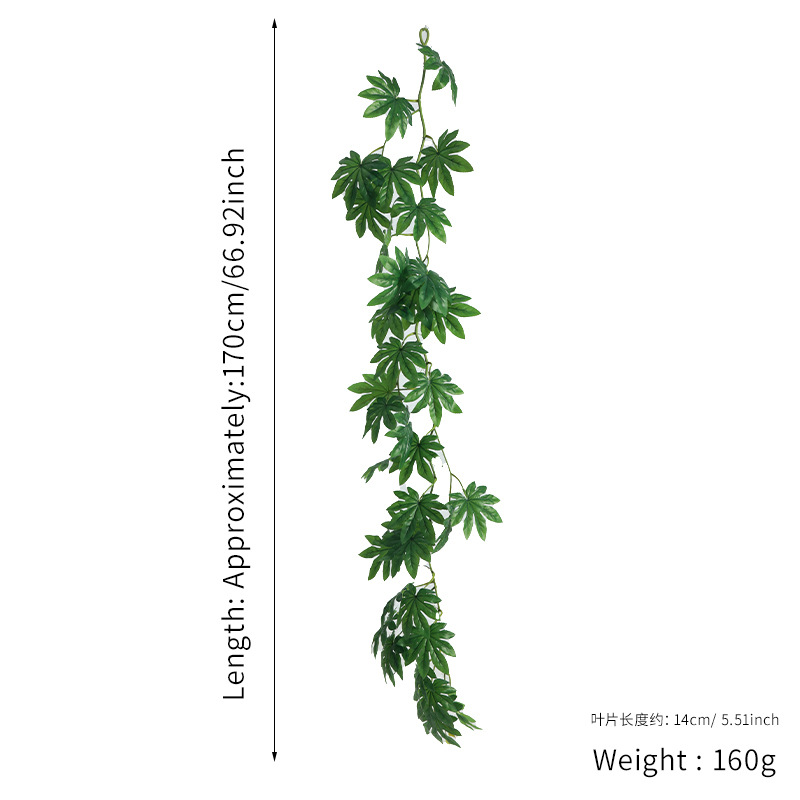 ใบเมเปิ้ลสีเขียว