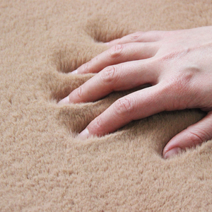 Siêu Mềm Thấm Chống-Trượt Sợi Nhỏ Thỏ Thảm Sàn Cọc Cao Thảm Sang Trọng Khu Vực Thảm Máy Làm - Product Image 4