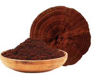 Poudre de champignon Reishi pur en gros, extrait de spores de Ganoderma Lucidum, qualité alimentaire, emballage personnalisé