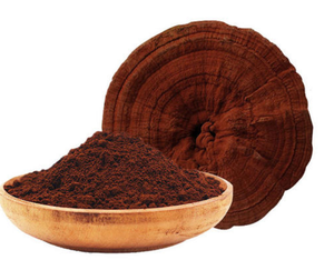 Großhandel Reines Reishi-Pilzpulver Ganoderma Lucidum Sporen Kräuterextrakt Gesundheitsnahrungsmittel-Qualität Individuelle Verpackung - Product Image 5
