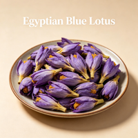 Thé de fleurs de lotus bleu entières séchées de qualité supérieure, 100% naturel, sans additif, herbe apaisante pour le sommeil, Nymphaea Caerulea, emballage personnalisé disponible