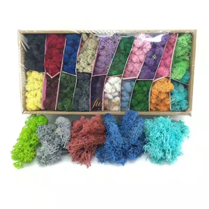 Bouteille <span class=keywords><strong>de</strong></span> parfum Eternal Moss-Mini mousse conservée dans une bouteille en verre avec <span class=keywords><strong>bouchon</strong></span> en liège - Product Image 1