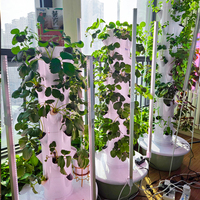 Système de tour hydroponique à 9 étages, sans terre, gain de place, kit de jardinage vertical hydroponique pour la culture de légumes verts en serre
