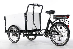 <span class=keywords><strong>Vélo</strong></span> <span class=keywords><strong>cargo</strong></span> classique <span class=keywords><strong>2022</strong></span>, tricycle <span class=keywords><strong>cargo</strong></span>, tricycle électrique avec pédale, couleur personnalisable, <span class=keywords><strong>vélo</strong></span> de haute qualité - Product Image 2