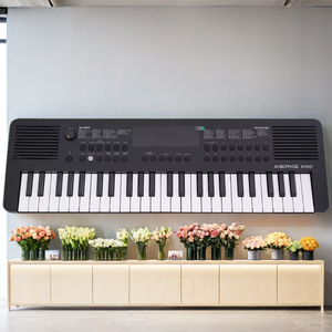 <span class=keywords><strong>Mini</strong></span> teclado de Piano Digital portátil de 49 teclas Órgano electrónico de plástico negro 300 Sonidos incorporados Altavoces incorporados AUX Tipo-C - Product Image 2