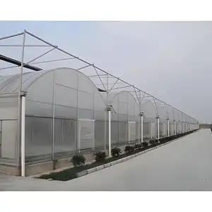 Casa verde hidropônica para estufas agrícolas filme plástico de túnel multi-span