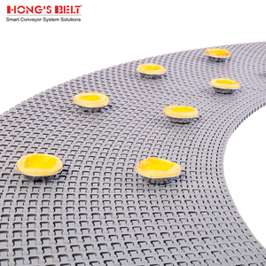 สายพานลำเลียงพลาสติกแบบแยกส่วนสำหรับสายพานลำเลียงอาหารสายพาน500B แบบโค้งของ hongsbelt - Product Image 4